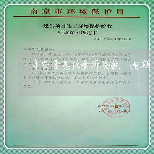 平安普惠陆金所贷款 逾期 平安普惠陆金所贷款 逾期